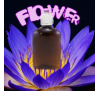 Добрива для квітучих та плодоносних рослин (флакон, 50 ml) / Plantarium Flower