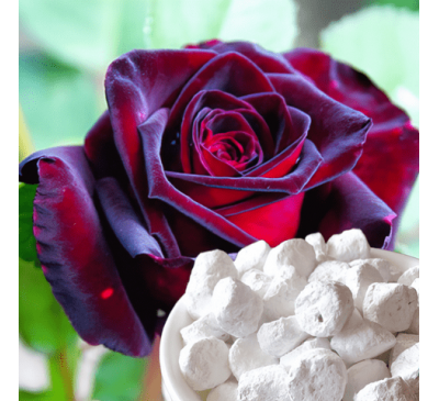 Ладан (смола) + натуральний ароматизатор Троянда (5 г) / Boswellia sacra
