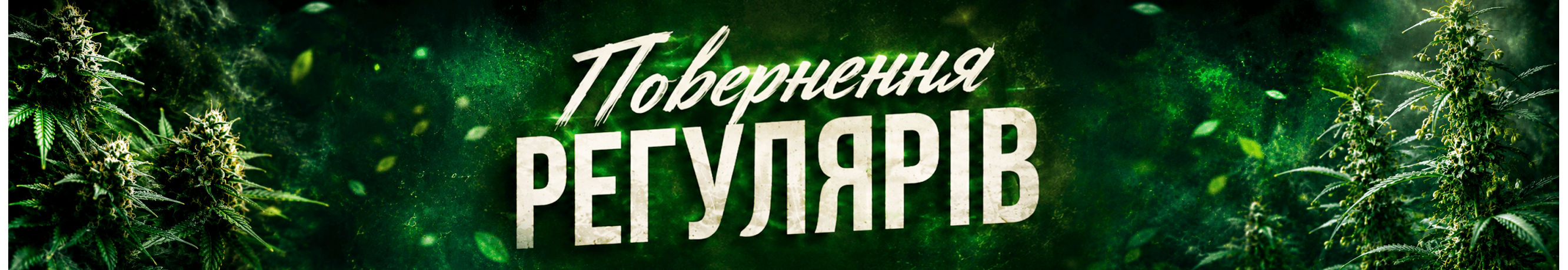 Авто-регуряри знову в ділі